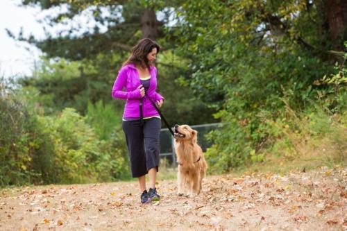 Les personnes qui sortent promener leur chien conservent la santé et se sentent plus en sécurité dans leur quartier